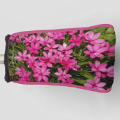 Rhodohypoxis / Red Star / Rosy Posy Golfheadcover (Voorkant)