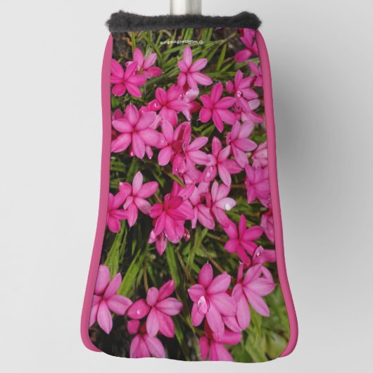 Rhodohypoxis / Red Star / Rosy Posy Golfheadcover (Draai 90)