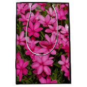 Rhodohypoxis / Red Star / Rosy Posy Medium Cadeauzakje (Voorkant)