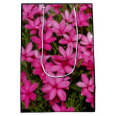 Rhodohypoxis / Red Star / Rosy Posy Medium Cadeauzakje (Achterkant)