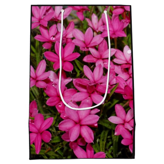 Rhodohypoxis / Red Star / Rosy Posy Medium Cadeauzakje (Achterkant)