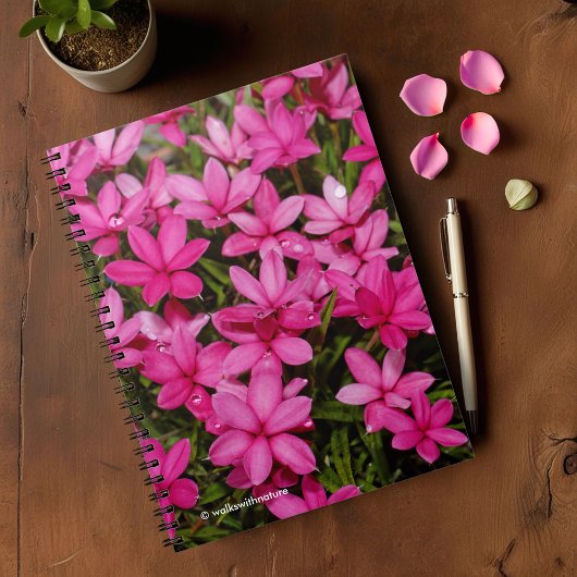 Rhodohypoxis / Red Star / Rosy Posy Notitieboek