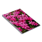 Rhodohypoxis / Red Star / Rosy Posy Notitieboek (Rechterzijde)