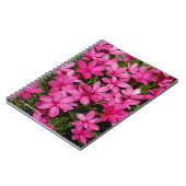 Rhodohypoxis / Red Star / Rosy Posy Notitieboek (Linkerzijde)