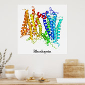 Rhodopsine Poster (Keuken)