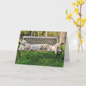 Rhonda's Valor Litter Bench Foto Kaart (Gele Bloem)