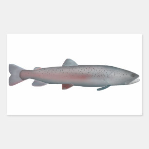 Rhône-forel Rechthoekige Sticker