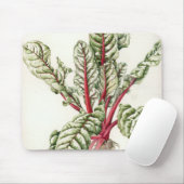 Rhubarb Chard 1992 Muismat (Met muis)
