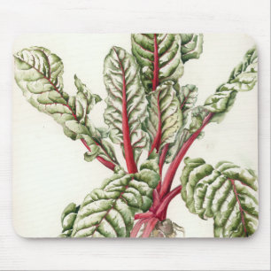Rhubarb Chard 1992 Muismat