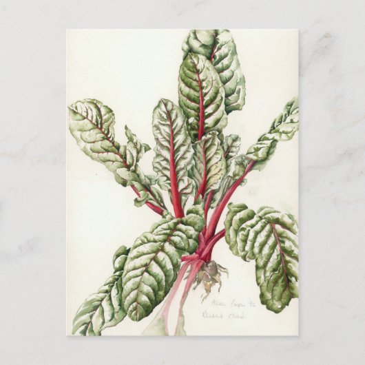 Rhubarb Chard Briefkaart (Voorkant)