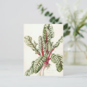 Rhubarb Chard Briefkaart (Staand voorkant)