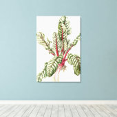 Rhubarb Chard Canvas Afdruk (Insitu (Houten vloer))
