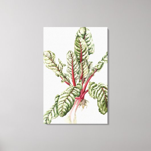 Rhubarb Chard Canvas Afdruk (Voorkant)