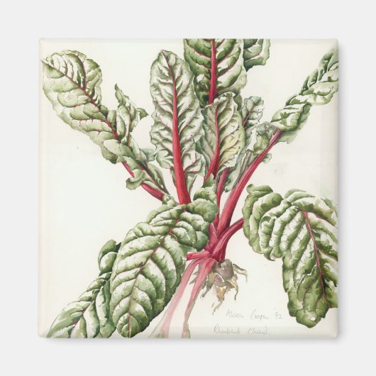 Rhubarb Chard Magneet (Voorkant)