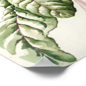 Rhubarb Chard Poster (Hoek)