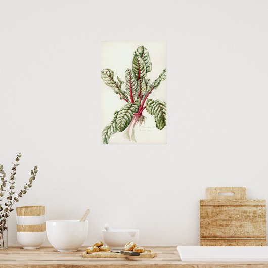 Rhubarb Chard Poster (Keuken)