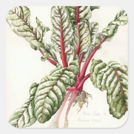 Rhubarb Chard Vierkante Sticker (Voorkant)