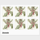 Rhubarb Chard Vierkante Sticker (Vel)