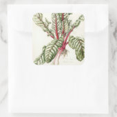 Rhubarb Chard Vierkante Sticker (Tas)