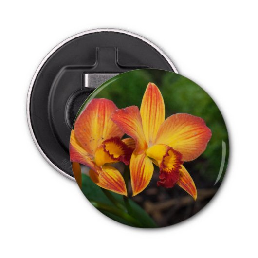 Rhyncattleanthe Love Tapestry Button Flesopener (Voorkant)