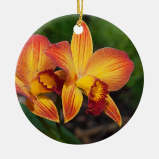 Rhyncattleanthe Love Tapestry Keramisch Ornament (Voorkant)