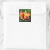 Rhyncattleanthe Love Tapestry Vierkante Sticker (Tas)