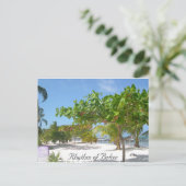 Rhythm van Belize Briefkaart (Staand voorkant)