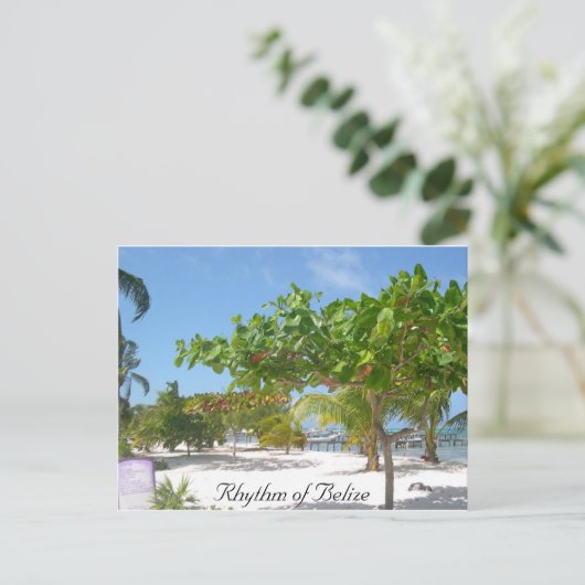 Rhythm van Belize Briefkaart (Staand voorkant)