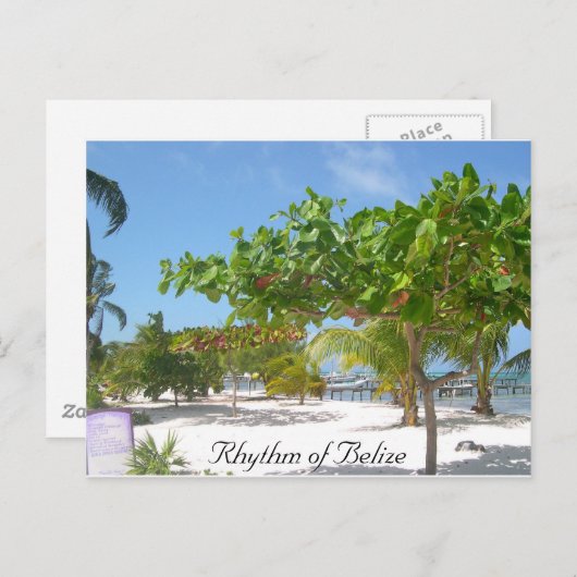 Rhythm van Belize Briefkaart (Voorkant / Achterkant)