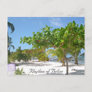 Rhythm van Belize Briefkaart