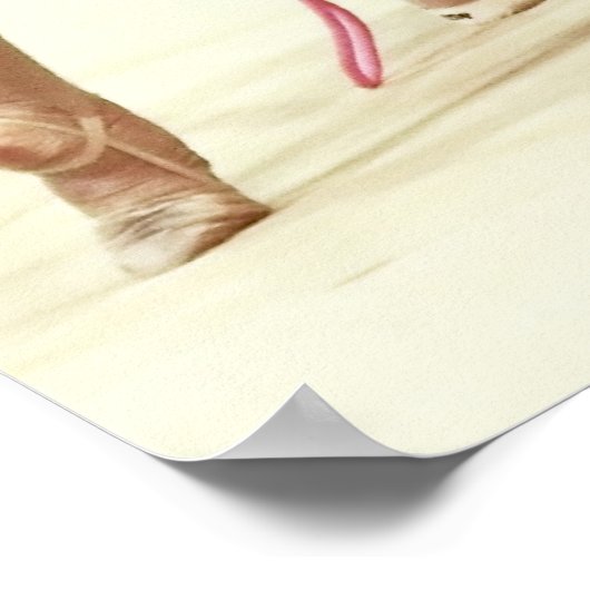 Rhythmic Gymnastic Poster (Hoek)