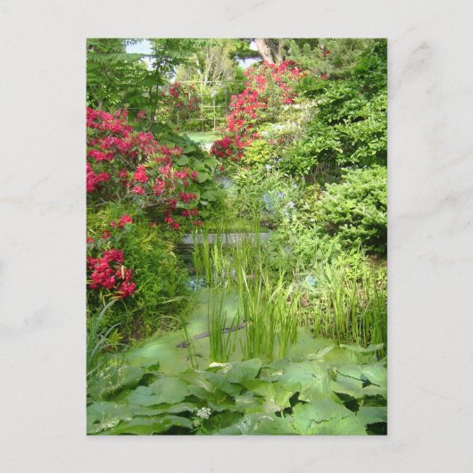 RI Garden briefkaart (Voorkant)