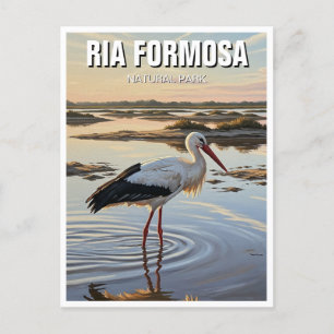 Ria Formosa Natuurpark Portugal Reizen Briefkaart