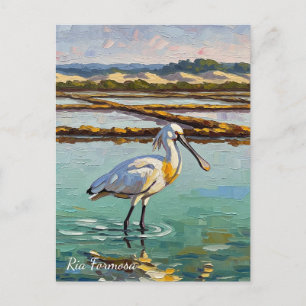 Ria Formosa Natuurpark Portugal Reizen Briefkaart