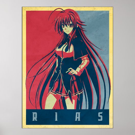 Rias Political High School DxD Poster (Voorkant)