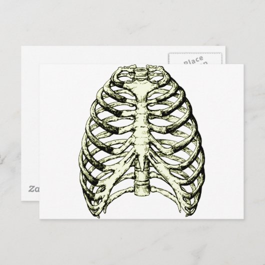 Rib Cage Bronze Briefkaart (Voorkant / Achterkant)