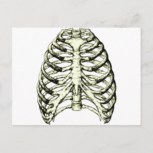 Rib Cage Bronze Briefkaart (Voorkant)