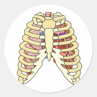 Rib Cage Lungs en hart Ronde Sticker