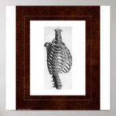 Rib Spirit House Poster (Voorkant)