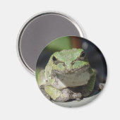 ribbe magneet (Voorkant / Achterkant)