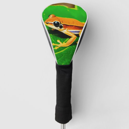 "Ribbit Ready: Froggy Fairway Protector" "Hop to t Golfheadcover (Voorkant)