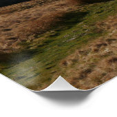 Ribblehead viaduct Poster (Hoek)