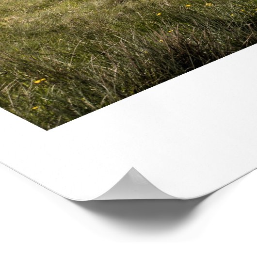 Ribblehead Viaduct, Ribblehead, Yorkshire, Engelan Poster (Hoek)