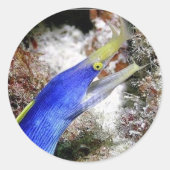 Ribbon Eel Ronde Sticker (Voorkant)