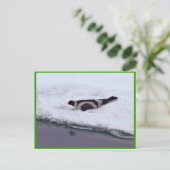 Ribbon Seal Briefkaart (Staand voorkant)