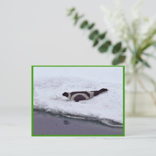 Ribbon Seal Briefkaart (Staand voorkant)