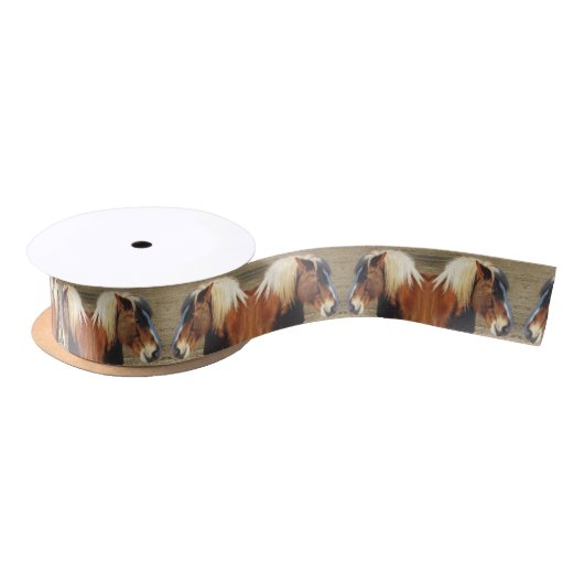 Ribbon van Double Take Horse Craft Satijnen Lint (Spoel)
