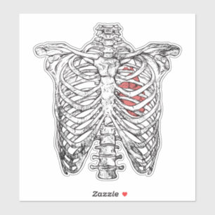  ribcage en hartanatomie Halloween Sticker