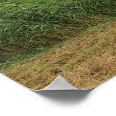 Riberhus en Ribe, Jutland, Denemarken Poster (Hoek)