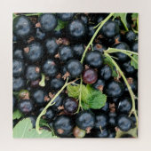 Ribes nigrum zwarte bessen oogst legpuzzel (Horizontaal)